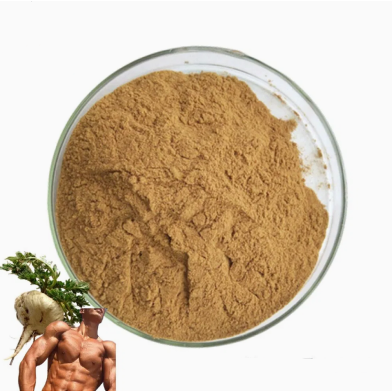 For Maca Powder for Men 0.6% Macamide Rich Black for Maca Root Extract Powder