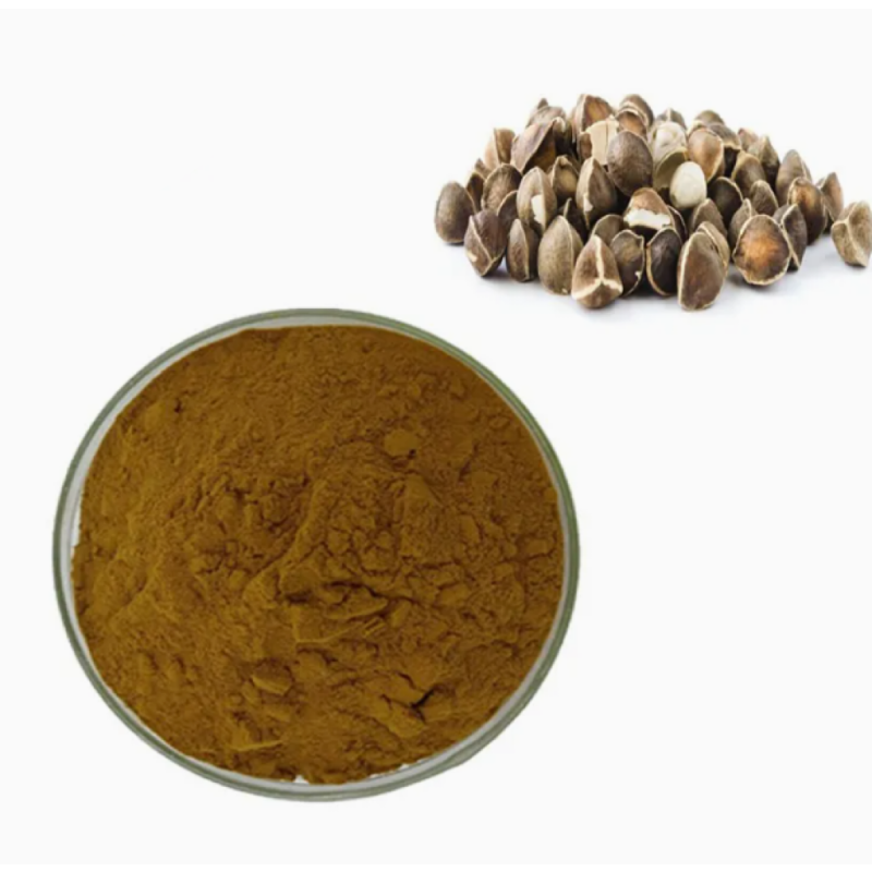 Wholesale Price Pure Natural Organic Moringa Oleifera Leaf Seed Root Extract Moringa Leaf Powder