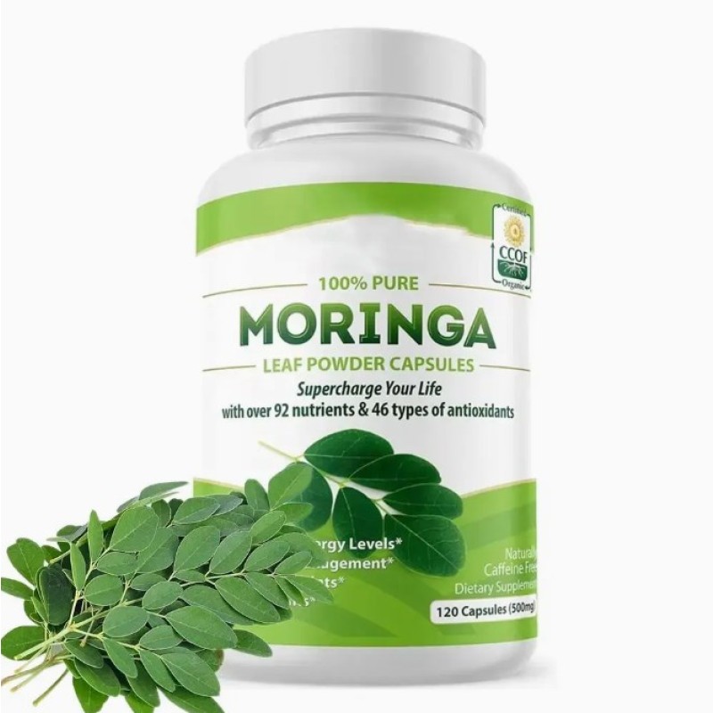 OEM Pure Organic Moringa Extract Capsules Antioxidant Effectiveness Private Label Wholesale Price for Adults