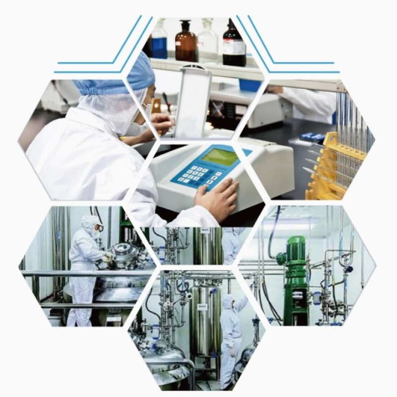 OEM Supply 99% Beta-Nicotinamide Mononucleotide (NMN) Powder Adult Antioxidant with Anti-Aging Function Plant Extract