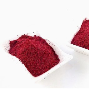 High Quality Organic Beetroot Extract Powder Private Label Wholesale Natural Juice Powder Root Extract