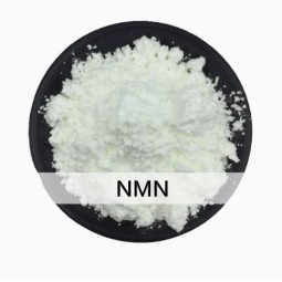 Factory Wholesale 99% Uptake Anti-Aging Beta Nicotinamide Mononucleotide (NMN) Powder Plant Extract