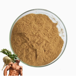 OEM GMP Certified Pure Organic for Maca Root Extract Powder Certified Organic for Maca Powder for Men and Women