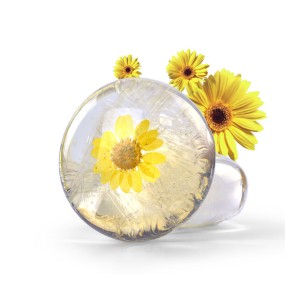 Bath Soap Factory - Natural Skin Whitening Colorful