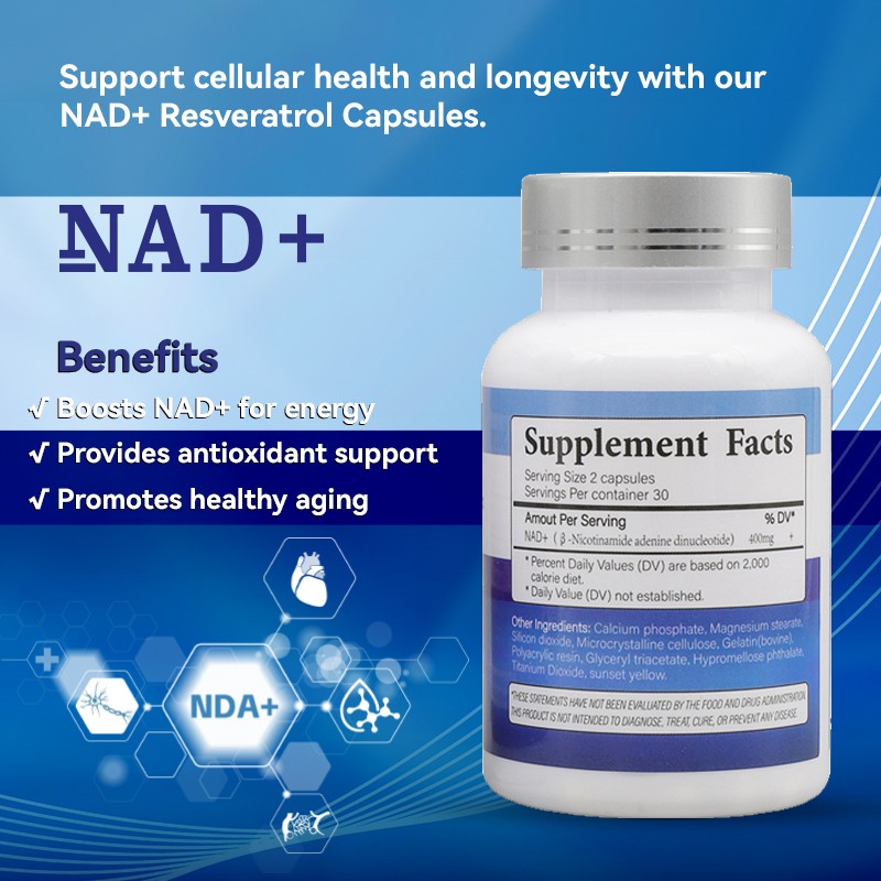 NAD+ Capsules Supplier - Memory Focus Sleep Quality
