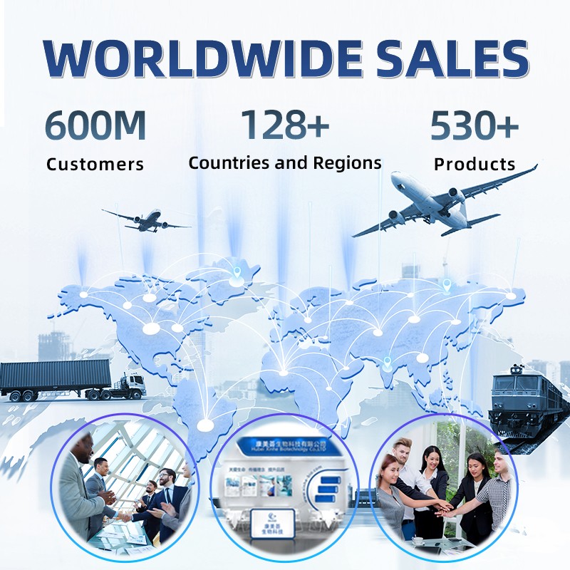 Weight Gain Powder Manufacturer - Halal High Protein Supplement