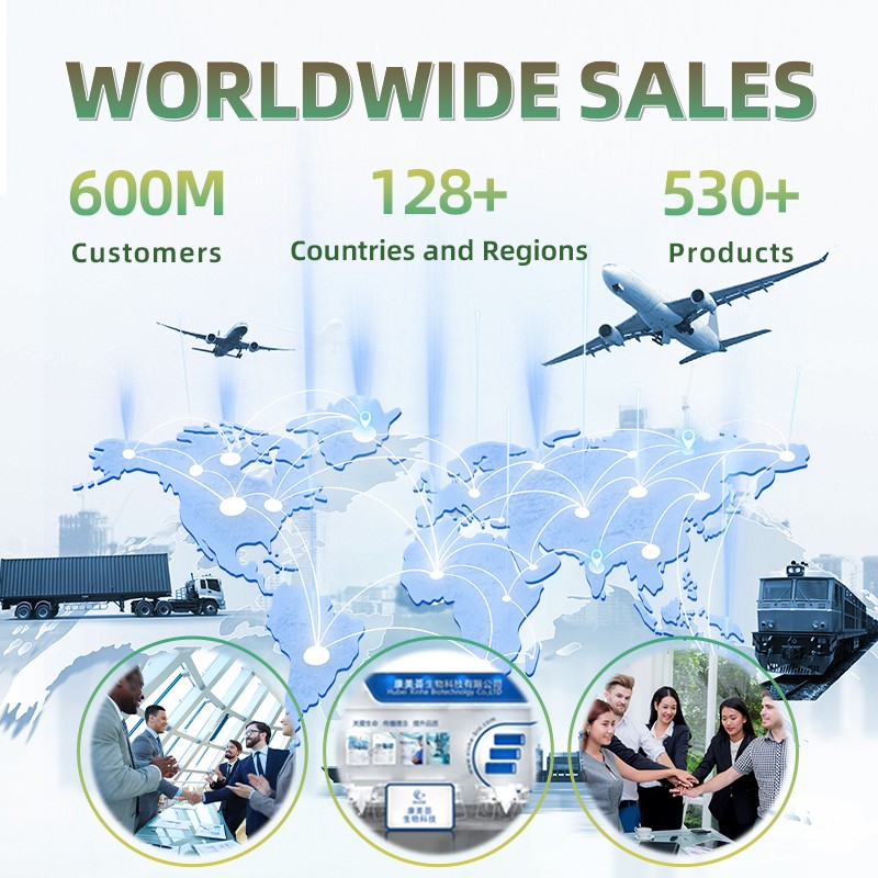 Maca Root Capsules Supplier - Stamina Muscle Sexual Wellness