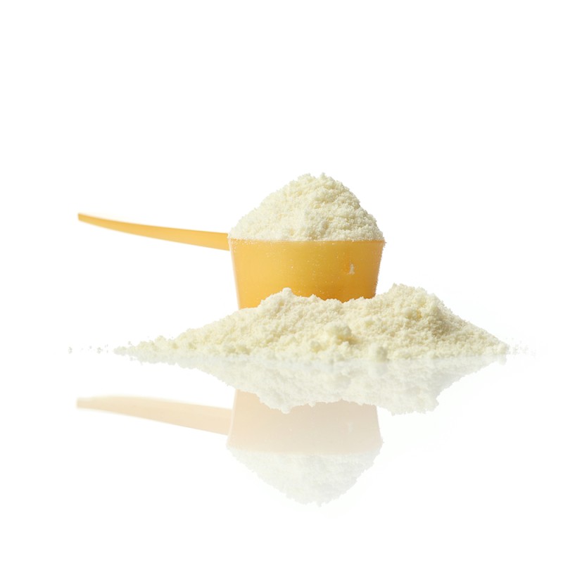 Probiotics Powder Supplier - B-12 Adult Health Powder