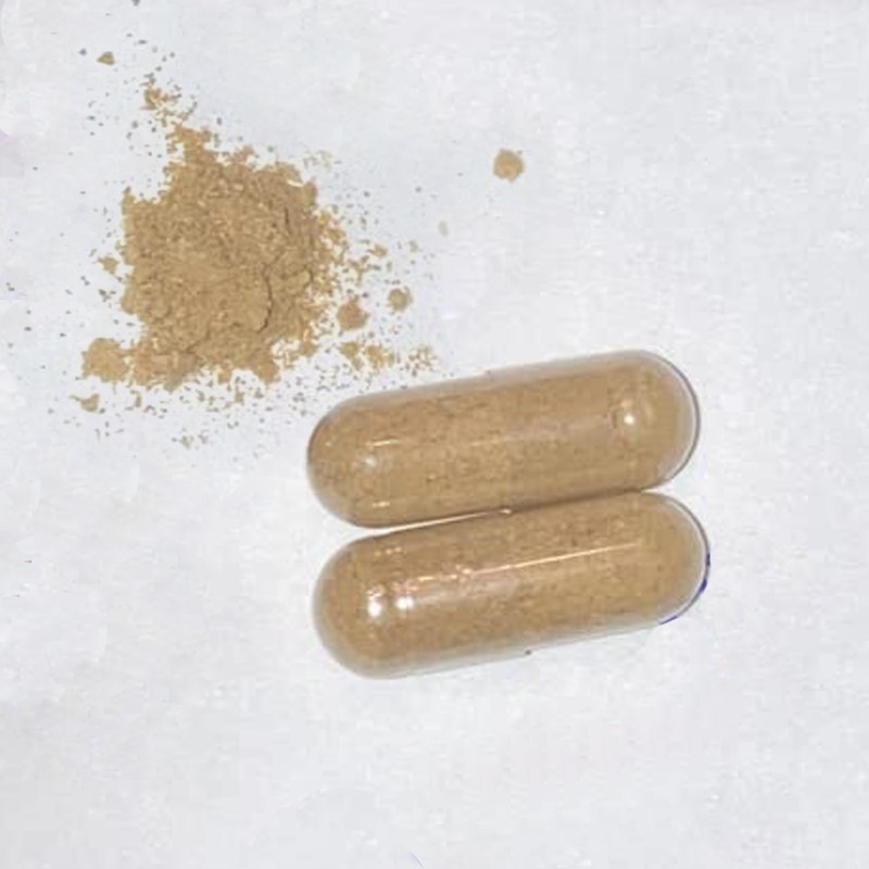 Seamoss Capsules Factory - GMP Certified Organic Shilajit