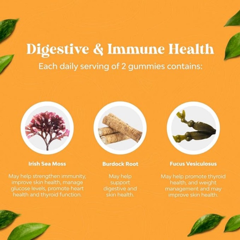 Adult Vitamins Gummies Supplier - Sea Moss Ashwagandha Shilajit