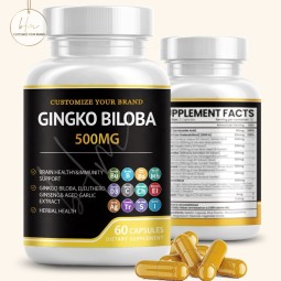 Ginkgo Biloba Capsules Manufacturer - Brain Memory Alertness