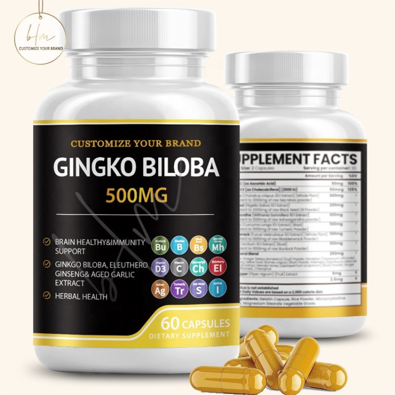Ginkgo Biloba Capsules Manufacturer - Brain Memory Alertness