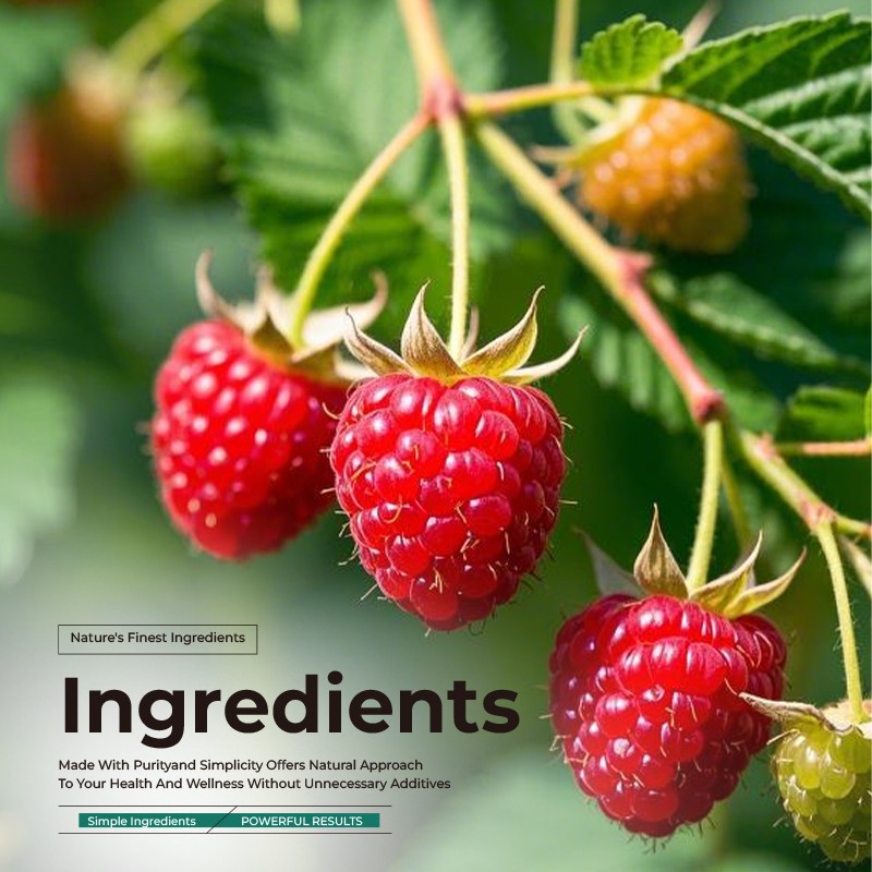 Menopause Gummies Factory - Hormone Balance Hot Flashes