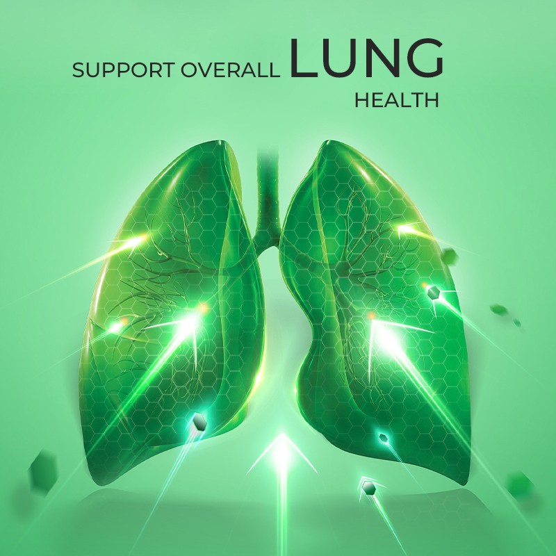 Mullein Drops Supplier - Lung Function Respiratory Support