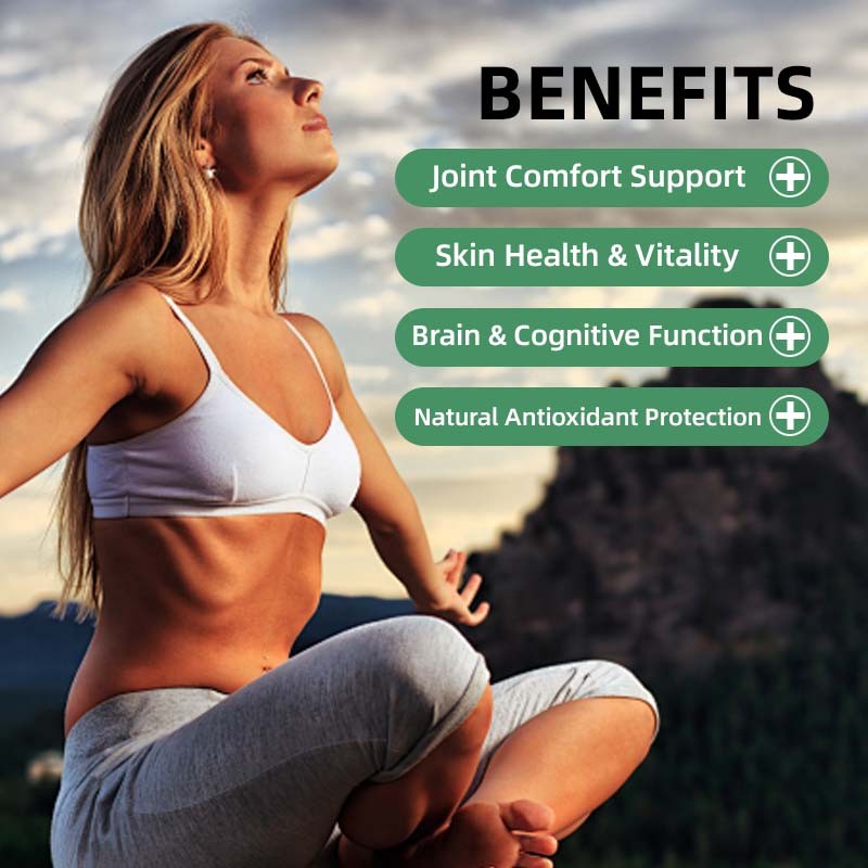 Oregano Softgels Supplier - Digestive Skin Health Vitality