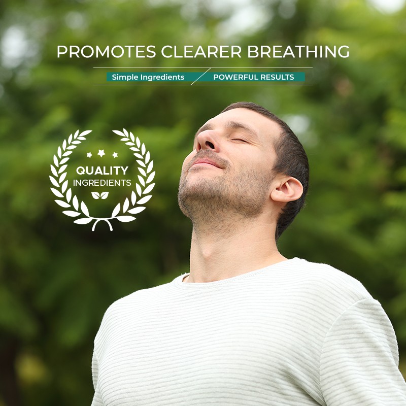 Lung Cleanse Drops Supplier - OEM Mullein Leaf Respiratory