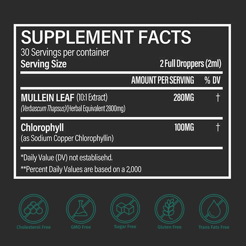 Lung Support Drops Factory - Natural Mullein Leaf Vegan