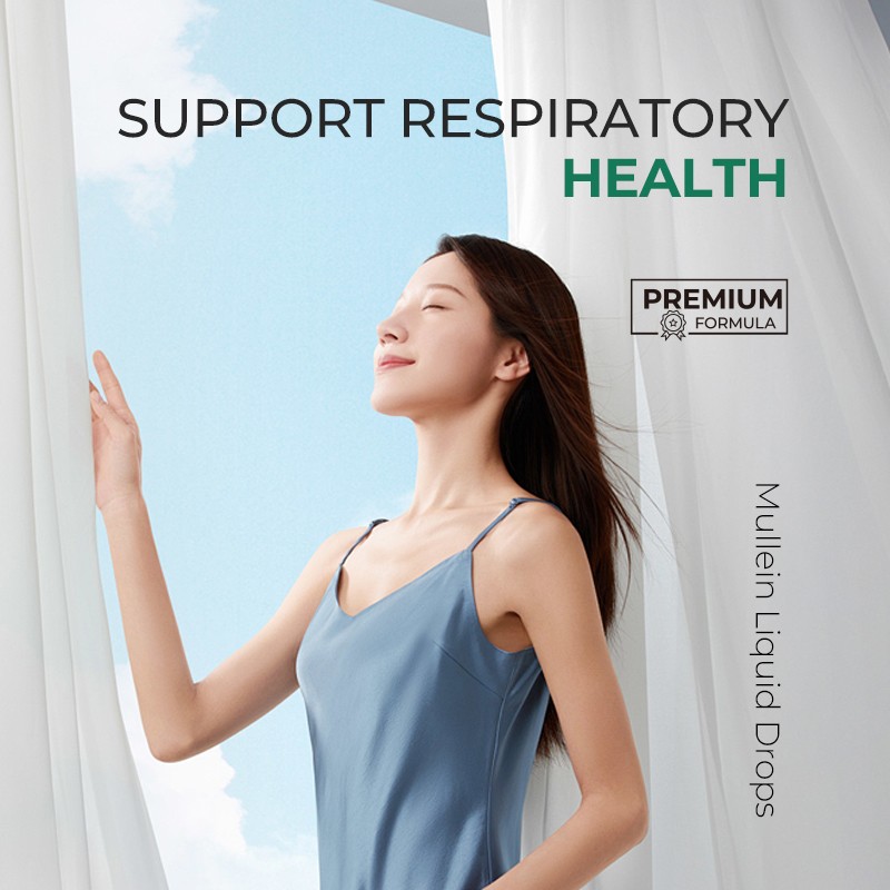 Mullein Drops Supplier - Lung Function Respiratory Support