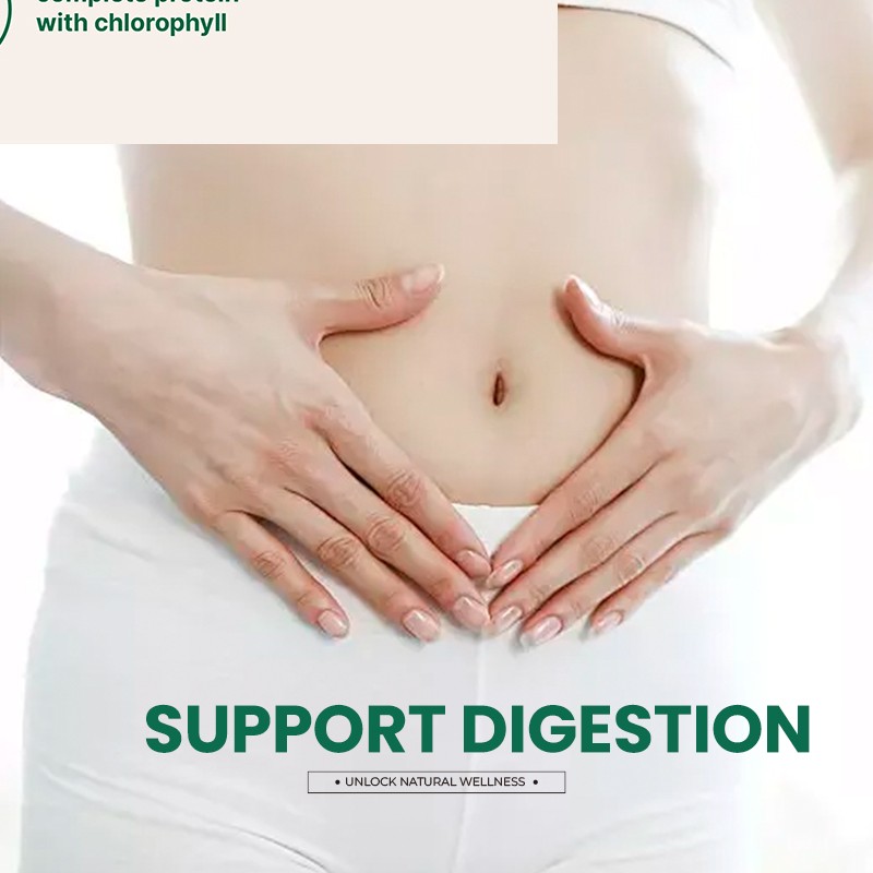 Spirulina Tablets Supplier - Super Food Energy Digestion Immune