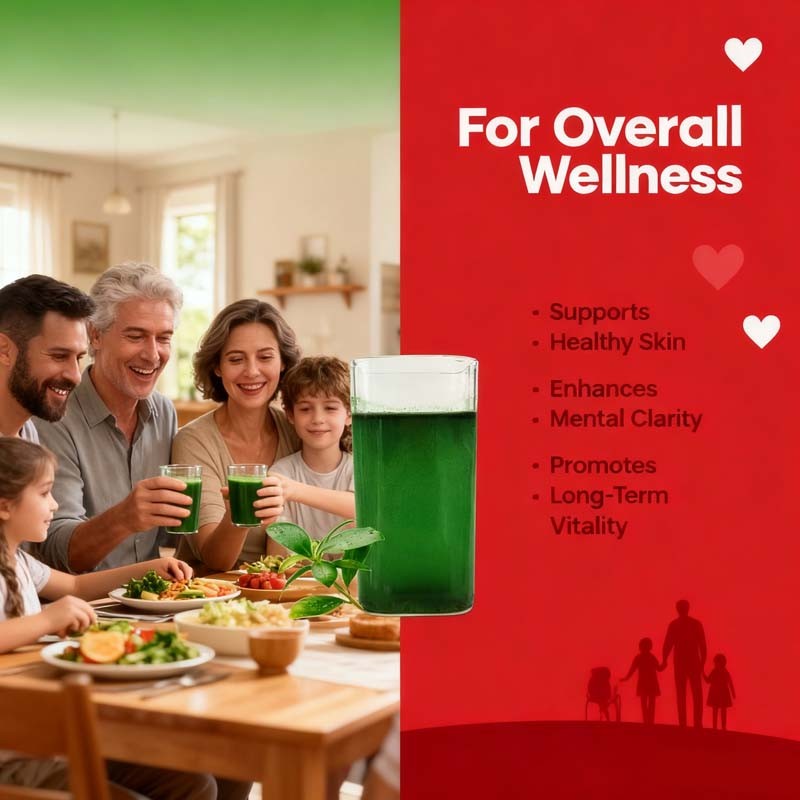 Chlorophyll Powder Supplier - Prebiotic Wheatgrass Detox Mix