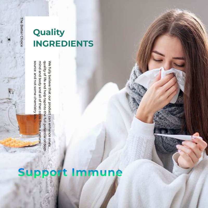 Holy Basil Capsules Factory - Relaxation Immune Herbal Supplement