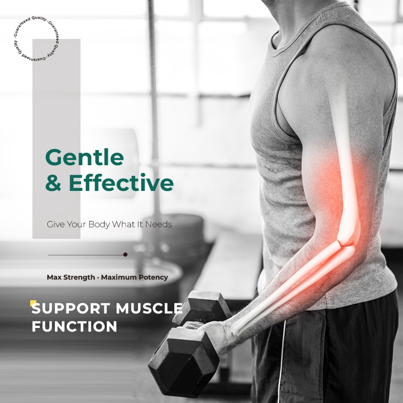 Fish Oil Softgels Manufacturer - Joint Protect Eye Health