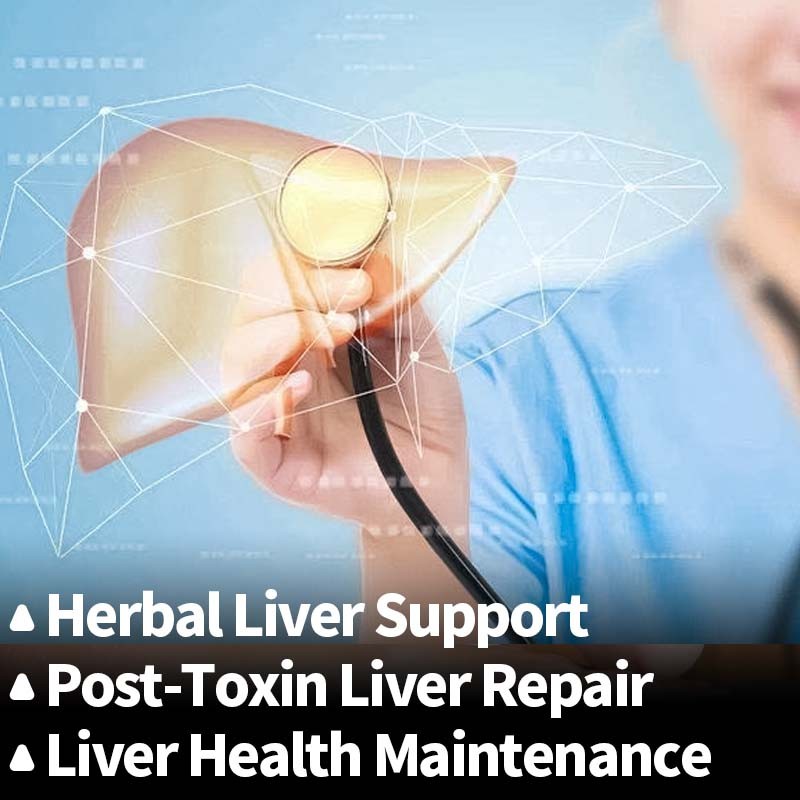 Nootropic Capsules Manufacturer - Mental Alertness Cognitive Focus