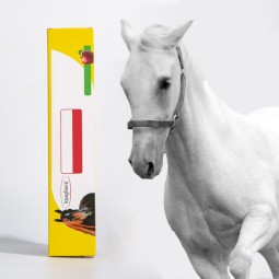 Horse Gel Supplement Manufacturer - Digestive Immune Apple Flavor