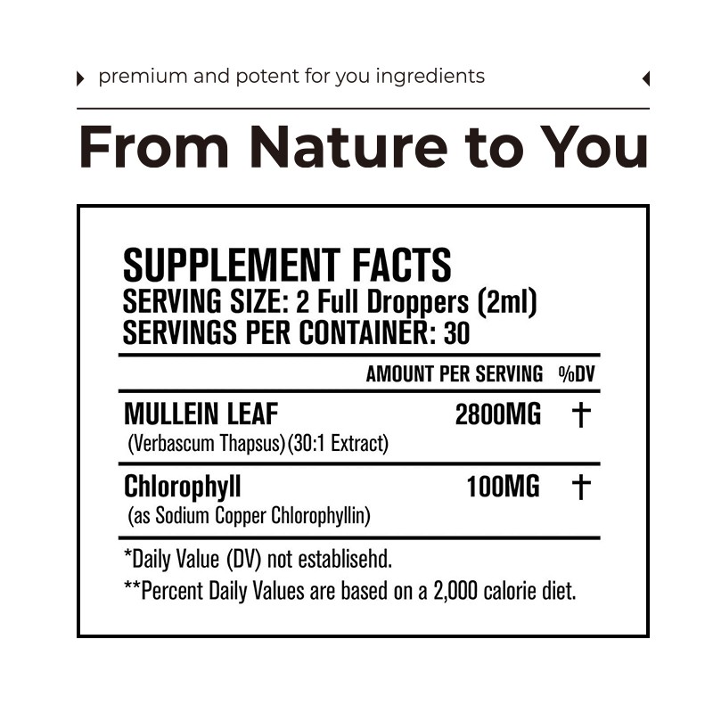 Lung Cleanse Drops Supplier - OEM Mullein Leaf Respiratory