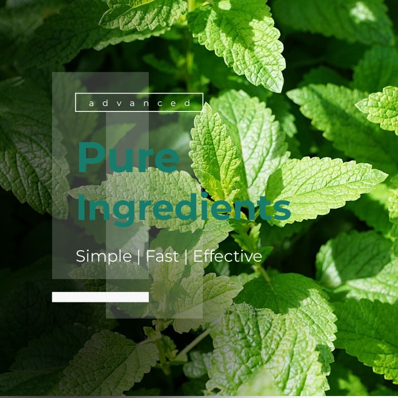 Mastic Gum Factory - Organic Erythritol Natural Terpene Blend