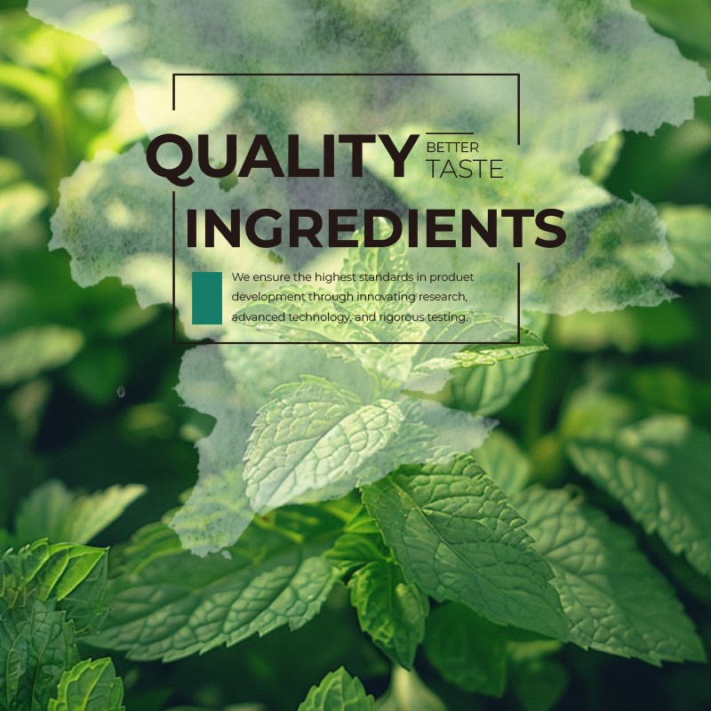 Chewing Gum Supplier - Plant Based Mint Gum OEM