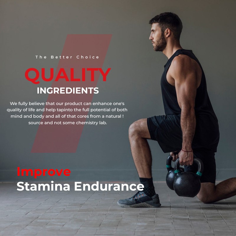 Shilajit Capsules Supplier - Fulvic Acid Energy Stamina