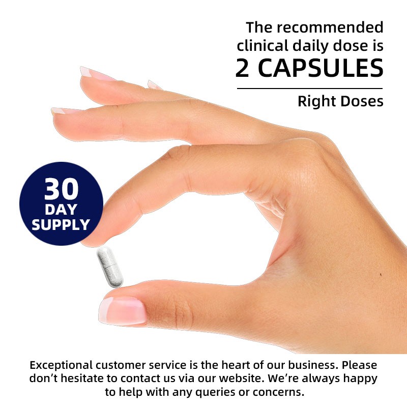 Brain Supplement Supplier - Mental Fatigue Memory Retention