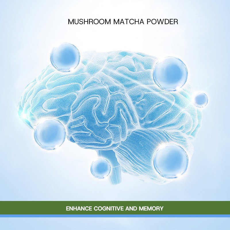 Mushroom Matcha Supplier - Ceremonial 7 Mushrooms MCT Oil