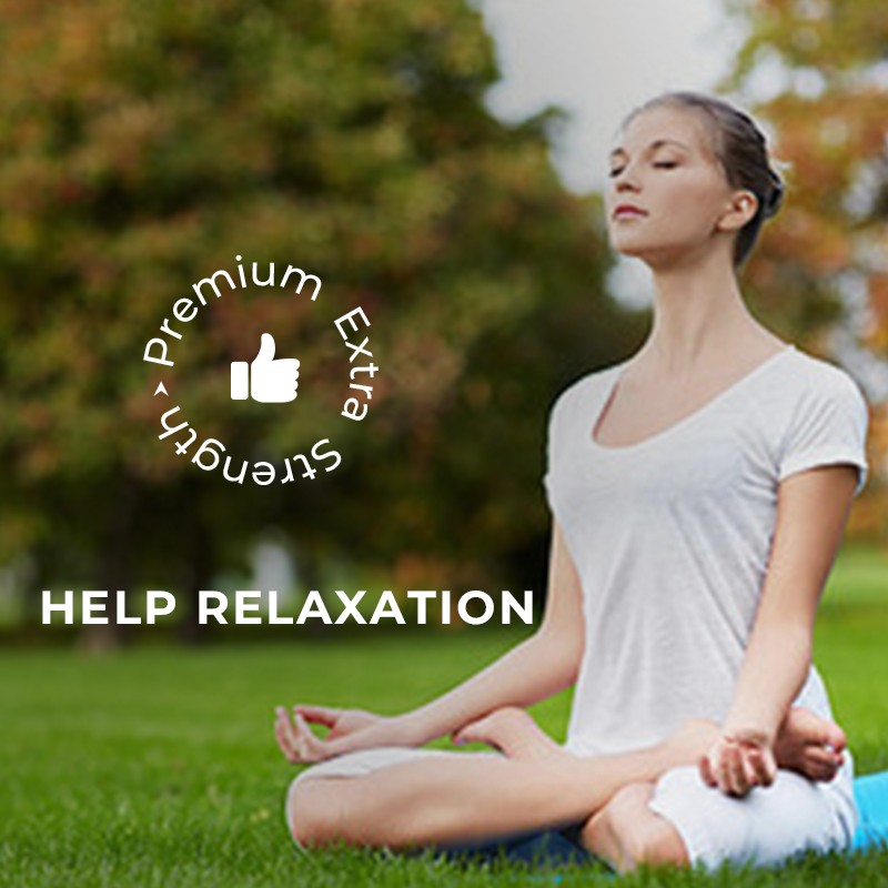 Holy Basil Capsules Factory - Relaxation Immune Herbal Supplement