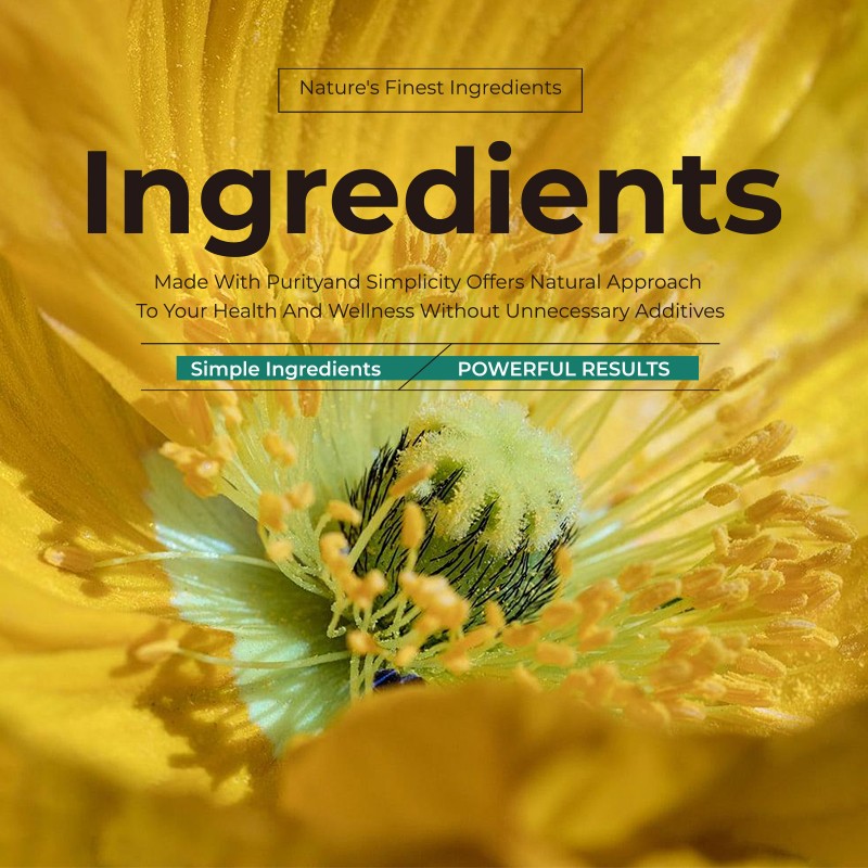 Mullein Drops Supplier - Lung Function Respiratory Support