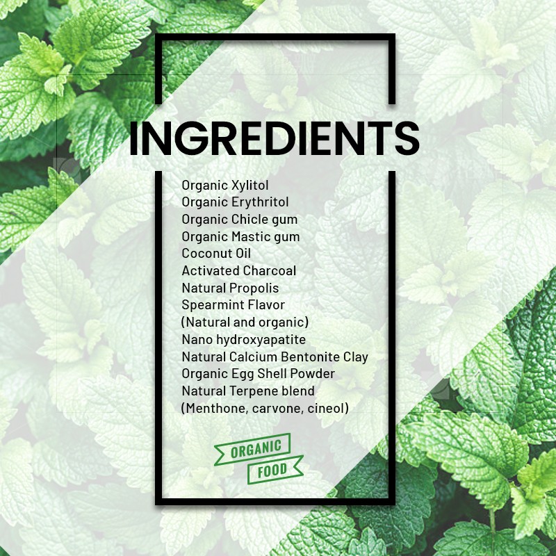 Chewing Gum Supplier - Plant Based Mint Gum OEM