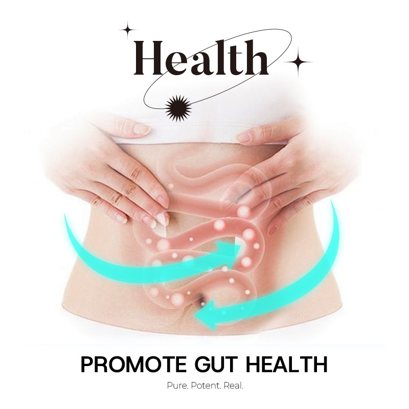 Mushroom Matcha Supplier - Ceremonial 7 Mushrooms MCT Oil