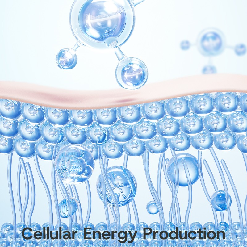 B-Complex Tablets Manufacturer - Immune Nerve Cellular Energy