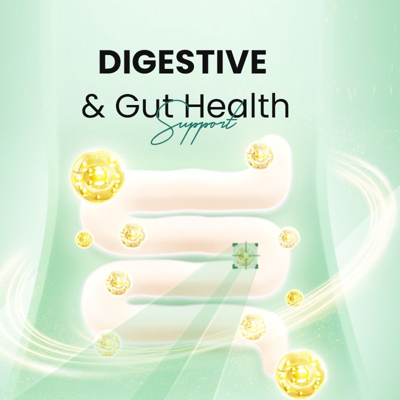 Immune Booster Drops Manufacturer - Soursop Cell Regeneration