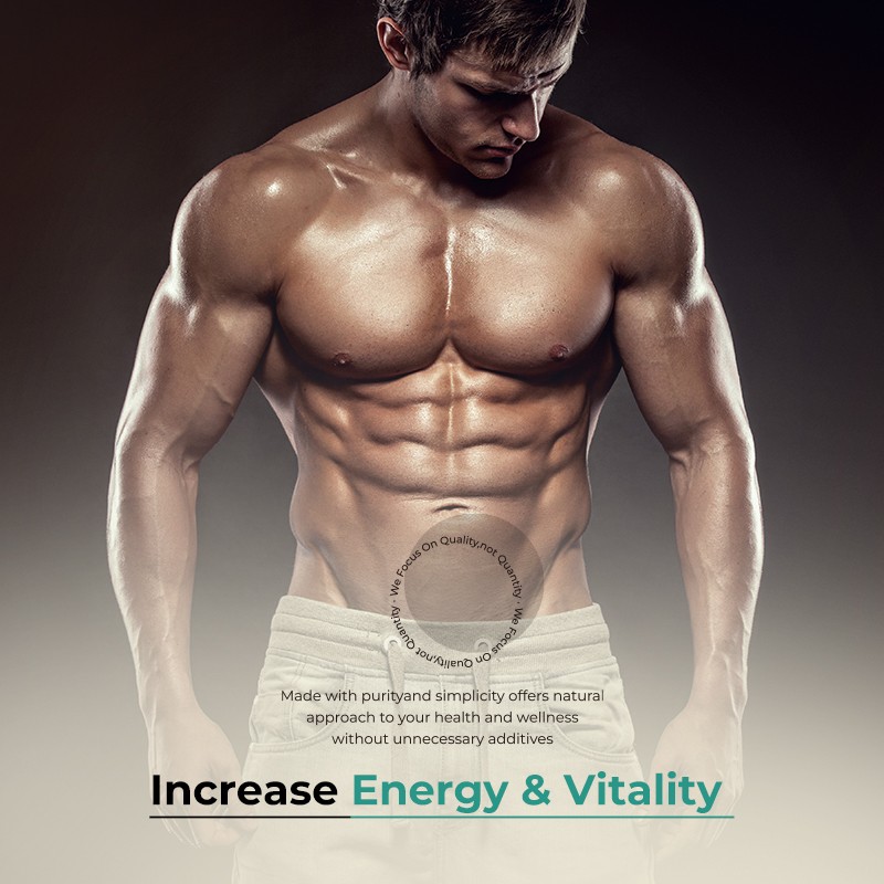 Oregano Softgels Manufacturer - Immune Digestion Black Seed