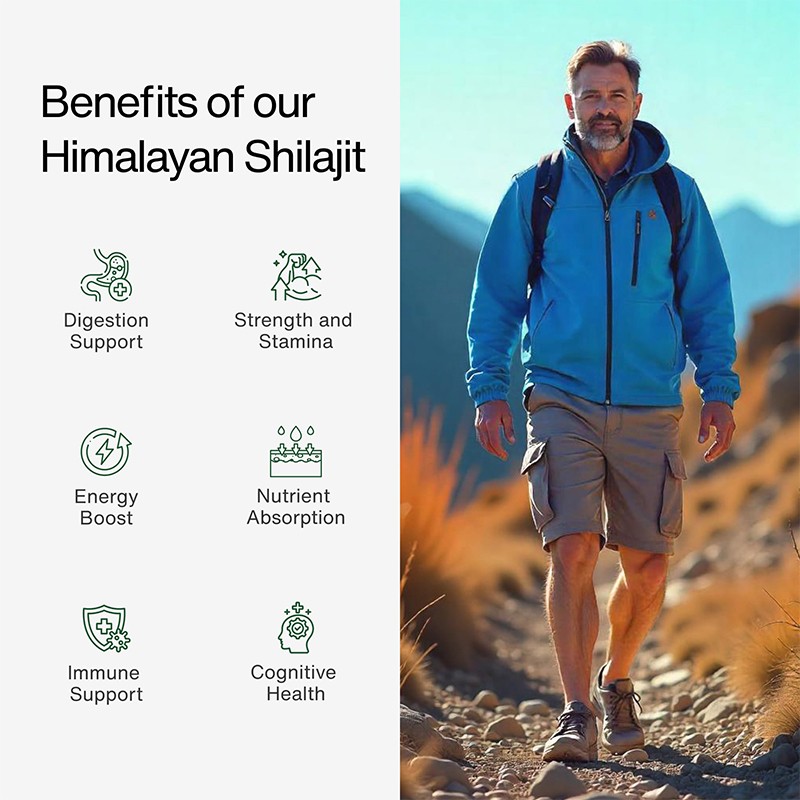 Shilajit Resin Manufacturer - Himalayan Fulvic Acid Energy