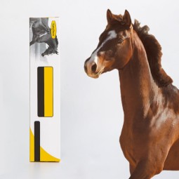 Horse Care Supplier - OEM Hot Selling Deworming Supplement