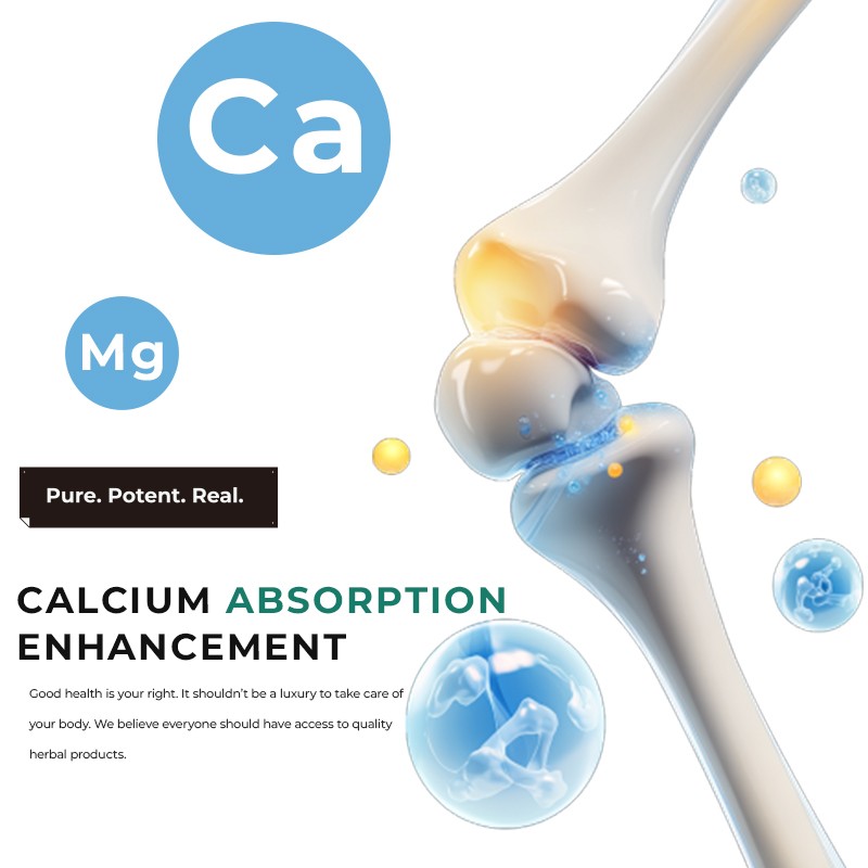 Calcium Tablets Factory - Bone Density Absorption Health