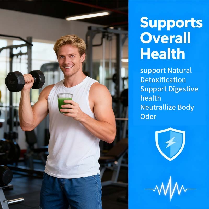 Chlorophyll Powder Supplier - Prebiotic Wheatgrass Detox Mix