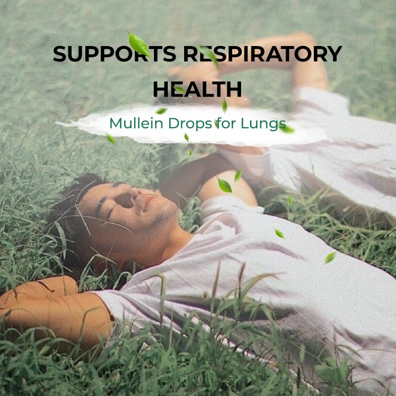 Mullein Drops Supplier - Lung Function Respiratory Support