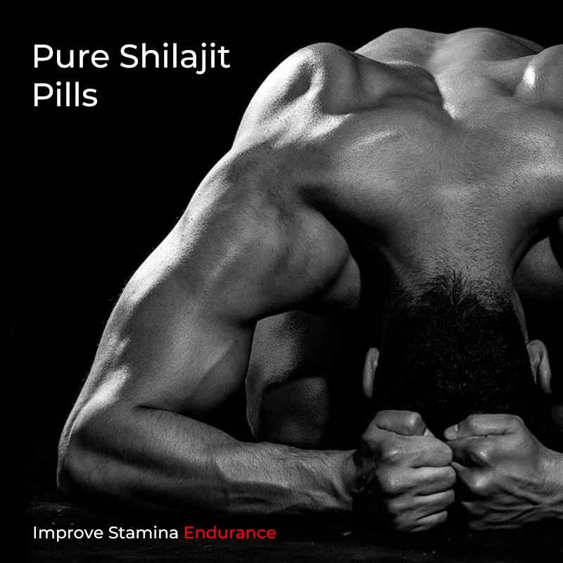 Shilajit Capsules Supplier - Fulvic Acid Energy Stamina