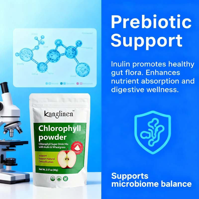 Chlorophyll Powder Supplier - Prebiotic Wheatgrass Detox Mix