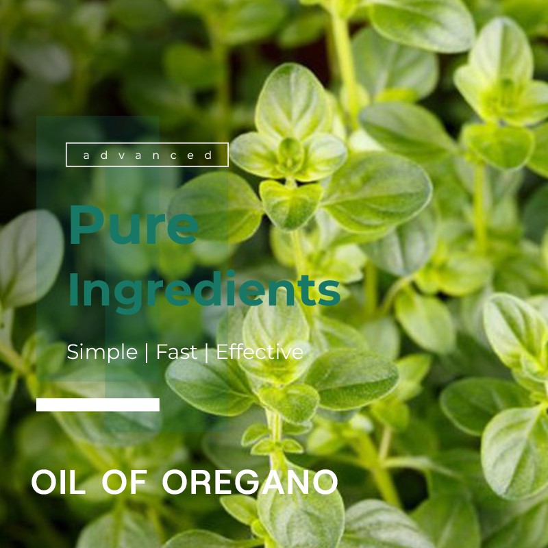 Lutein Softgels Supplier - 20mg Vision Care Bulk Supply