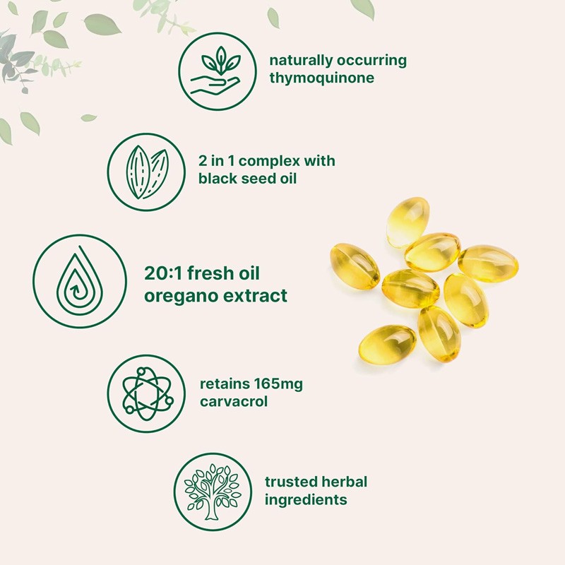 Moringa Softgels Manufacturer - Leaf Extract Energy Skin Gut